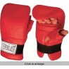 Guantes Everlast Sparring